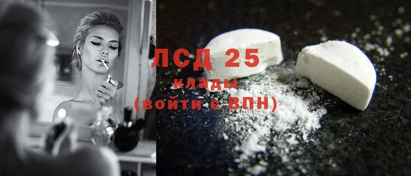 дмт Богородицк