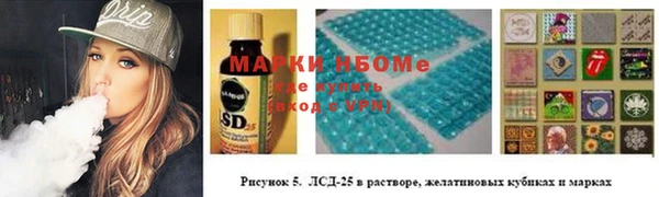 дмт Богородицк
