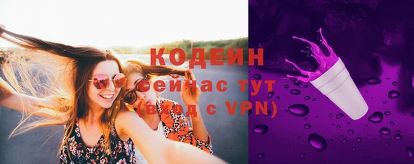 первитин Богданович