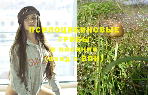 дмт Богородицк