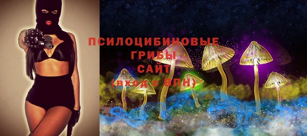 первитин Богданович