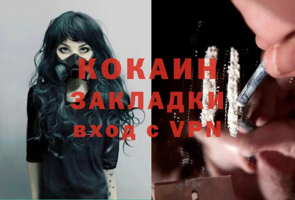 дмт Богородицк