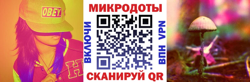 Галлюциногенные грибы MAGIC MUSHROOMS  продажа наркотиков  Дюртюли 